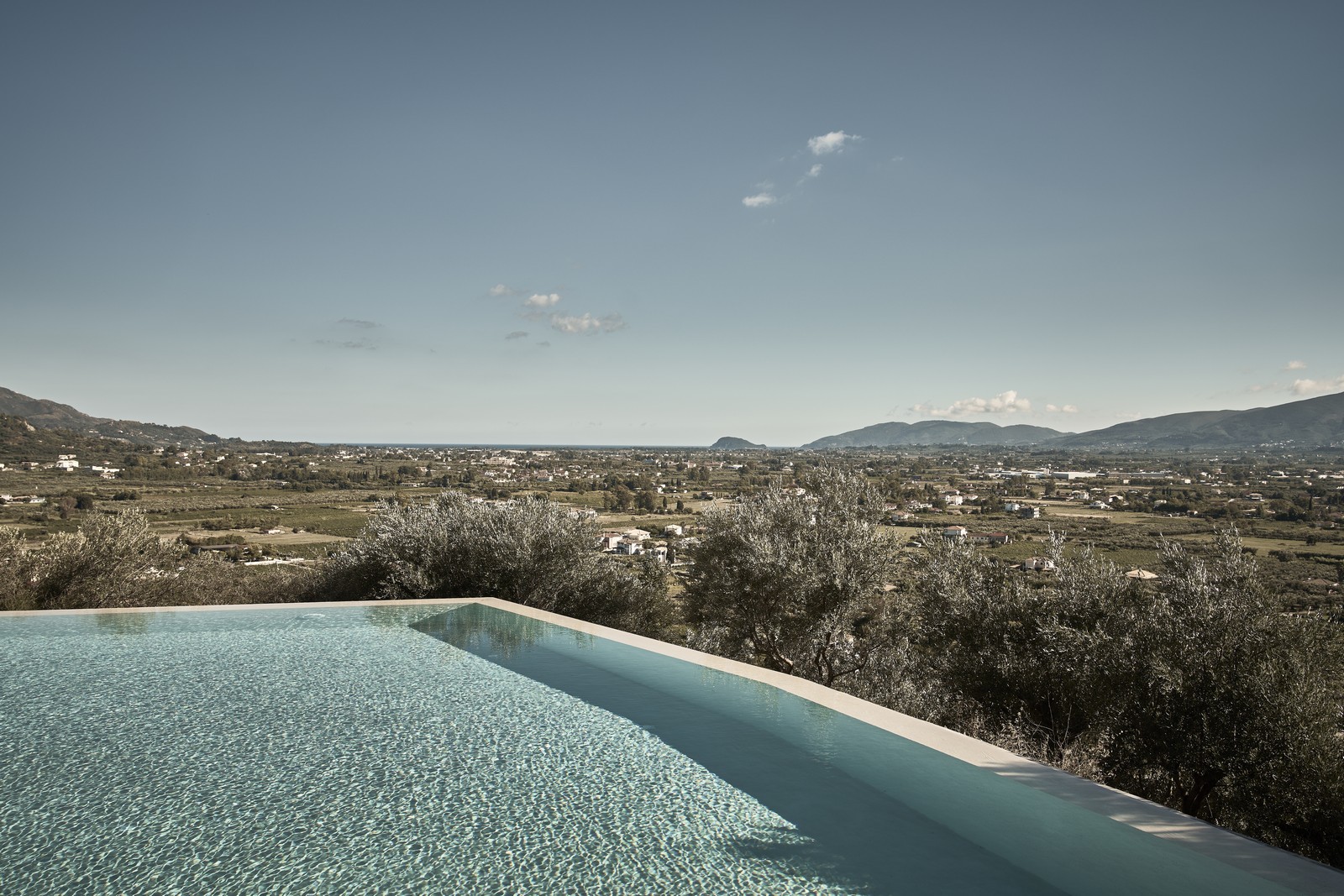 Olea cover image reach page