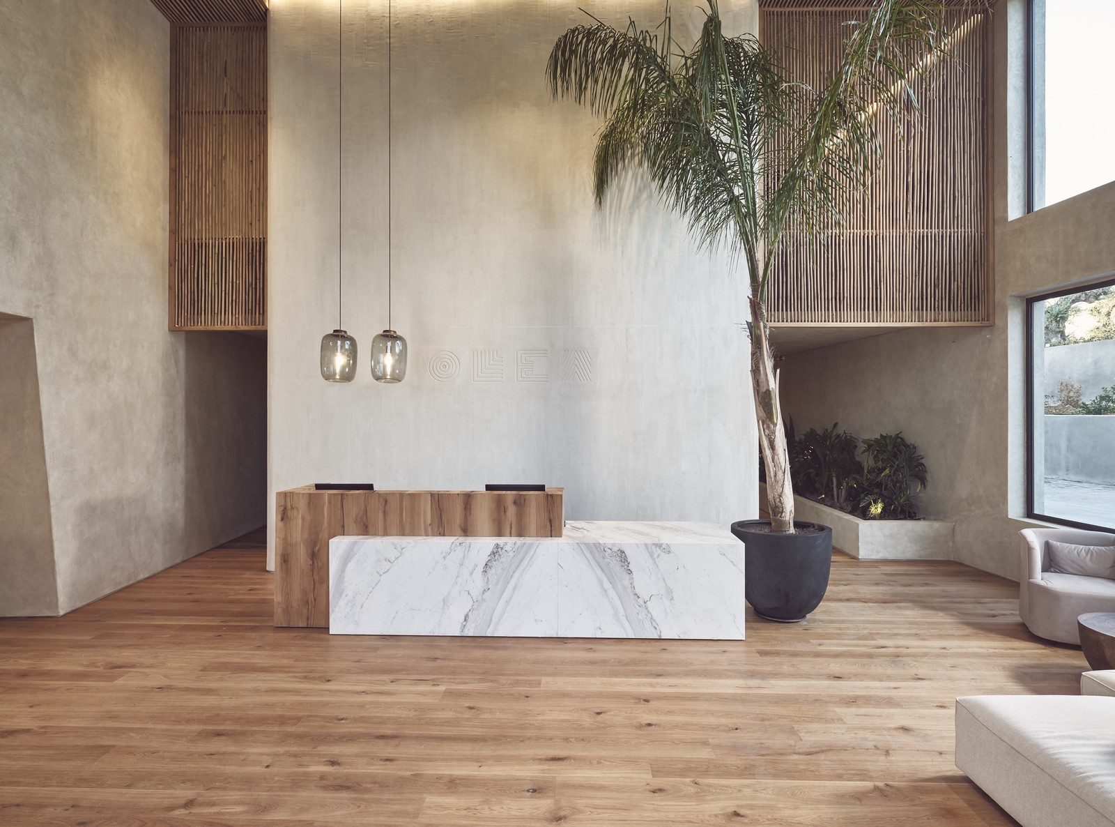 Olea cover image contact page