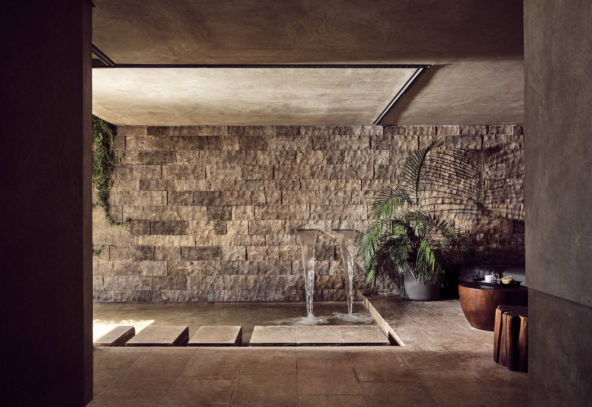 Olea cover image spa page