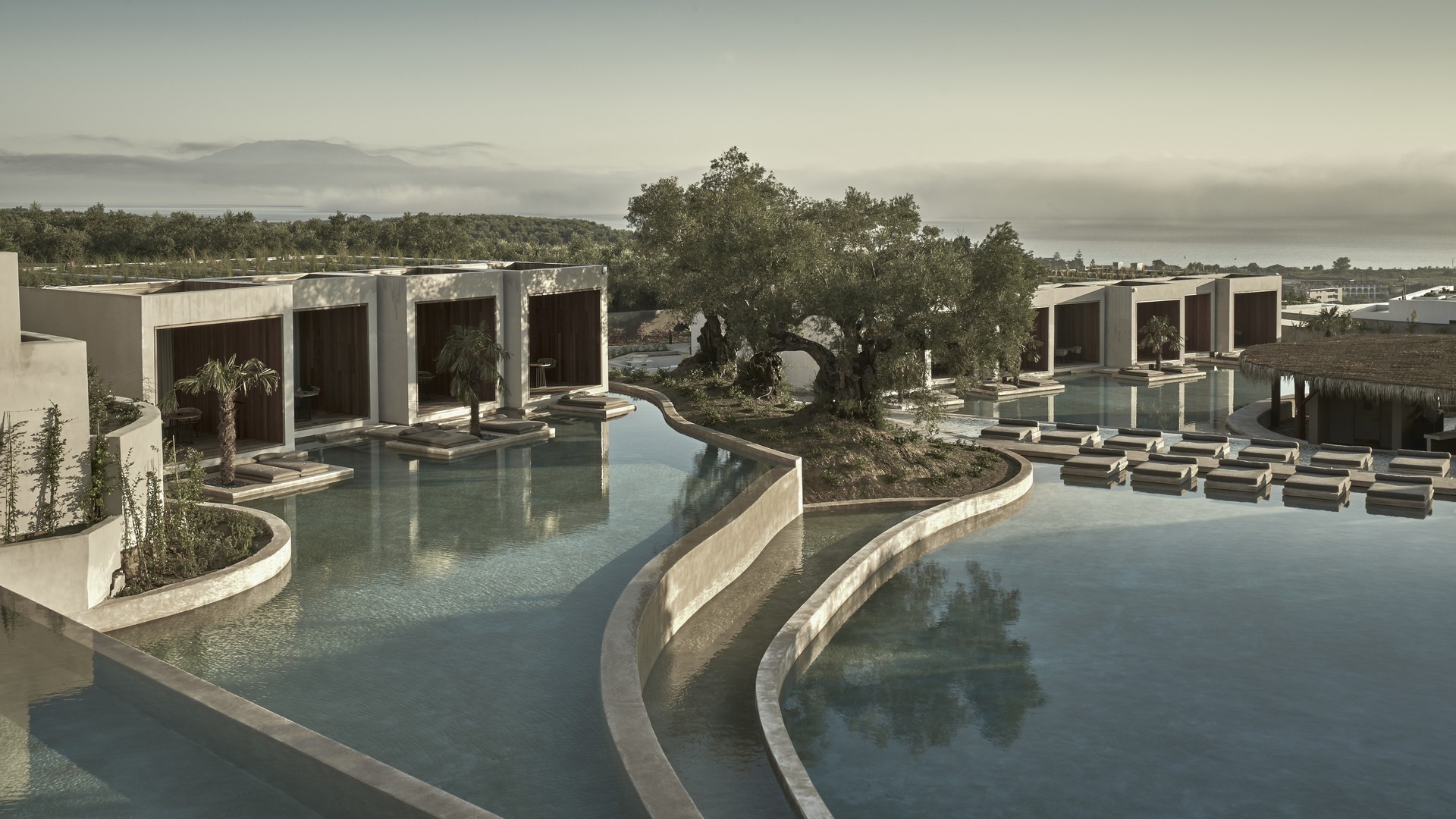 Olea cover image stay page