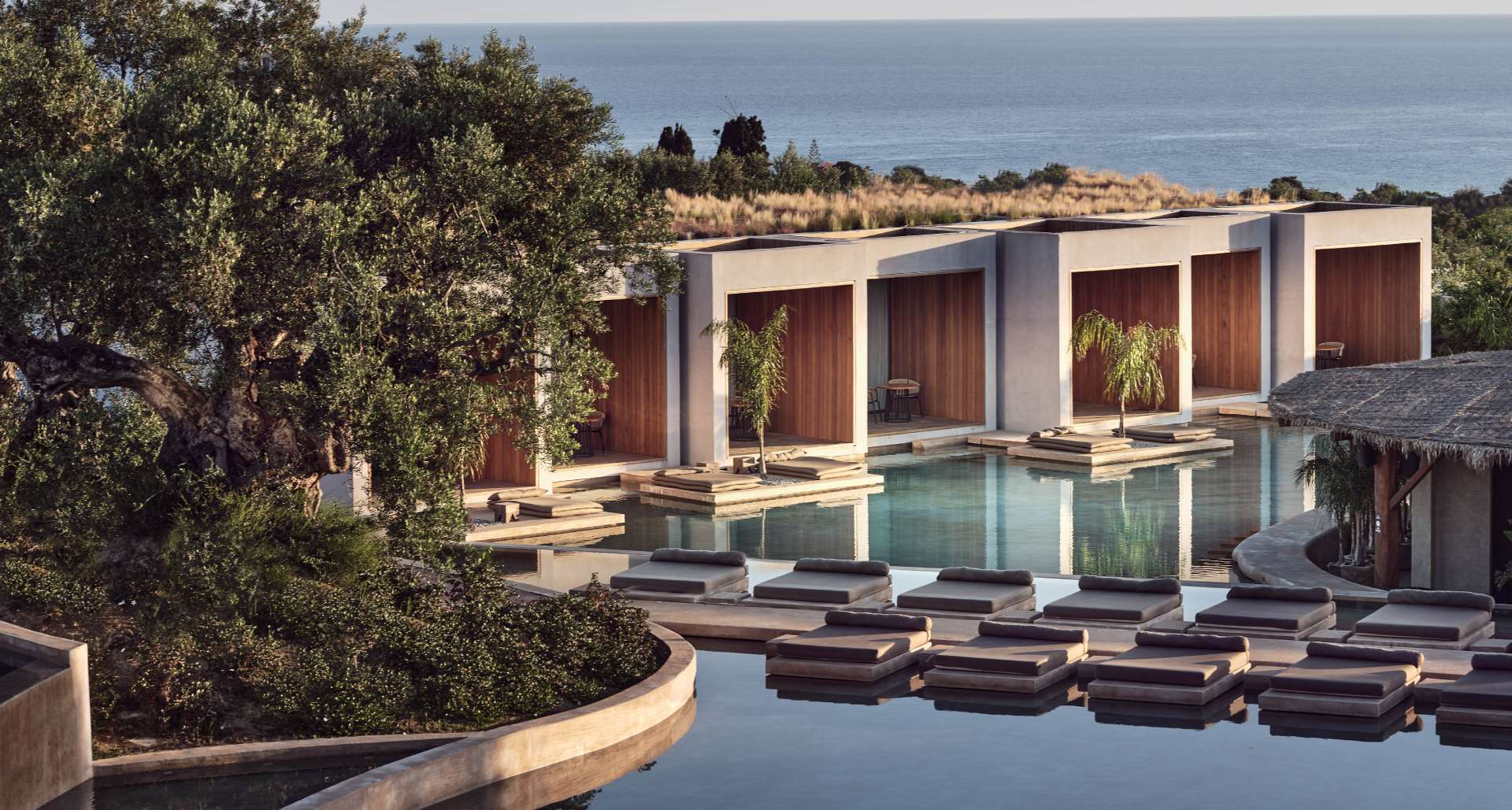 Olea cover image offers page